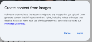 Gemini Image Permissions